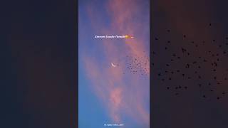 Download lagu tag your...💗🥹🫵🏻 yaaru sonnanganu theriyala gaa #remix #love #tamilsong #sadsong #lovefeeling mp3 Download lagu tag your...💗🥹🫵🏻 yaaru sonnanganu theriyala gaa #remix #love #tamilsong #sadsong #lovefeeling mp3