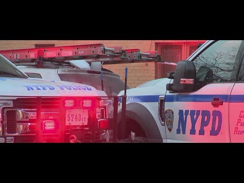 Man shot to death in Bronx subway station: NYPD