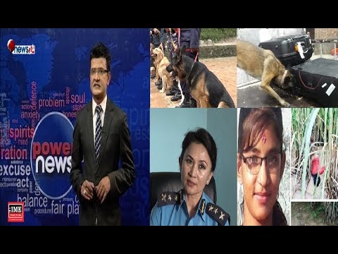 कुकुरले कसरी पत्ता लगाउँछ अपराधी ? निर्मला हत्या प्रकरणमा किन प्रयोग गरिएन कुकुर ? - POWER NEWS