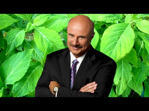 Salvia Tripping with Dr.Phil