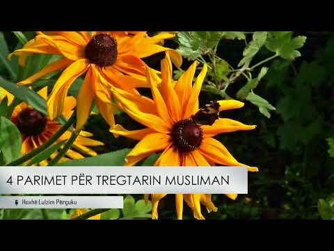 4 parimet për tregtarin musliman