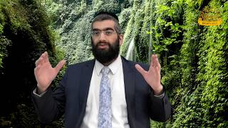 גם אתה יכול להיות אלוף העולם בשחמט | מתיקות התניא | הרב אלרועי כהן