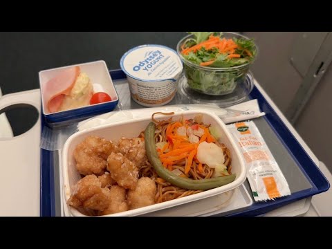 All Nippon Airways (ANA) Economy Class Review | NH 159 | JFK to HND