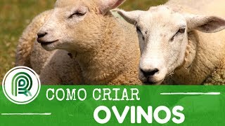 Miniatura do vídeo