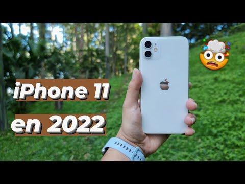 iPhone 11 (Tester)