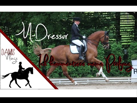M**-Dressur - [Ich kommentiere meine Prüfung selbst]