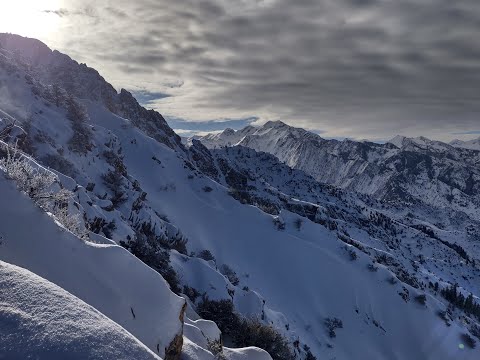 Mt Olympus: Medusa & Zeus