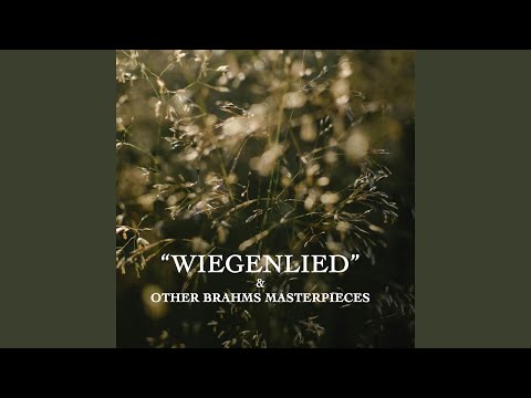 Variations and Fugue on a Theme by Handel, Op. 24: Variation XXIII: Vivace e staccato