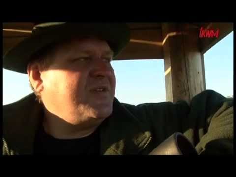 Polowanie - Odcinek 1\2 - Na Tropie - Program myśliwski Tv Trwam