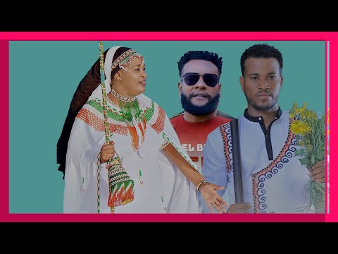 FAAYA ARTII Dhamaa fi Dhaamsa Sirbootaa Demisu Dinku Tiyya Hussen fi Israel Bashada