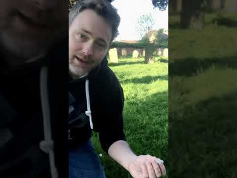 An introduction to Level 3 Animal Science.