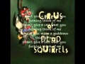 Circus of dead squirrels - Plastic Messiah 