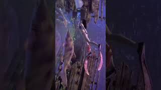 Tiktok Gái Xinh Bikini ❤️ Những Clip Tiktok Triệu View ❤️ Mejores Tik Tok Chinese Girls  #Shorts