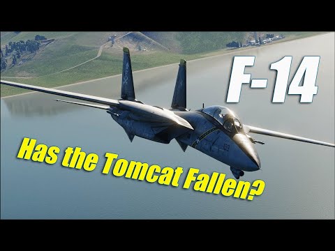 Better in BFM Guns F-14 Tomcat or F-16 Viper? #DCS