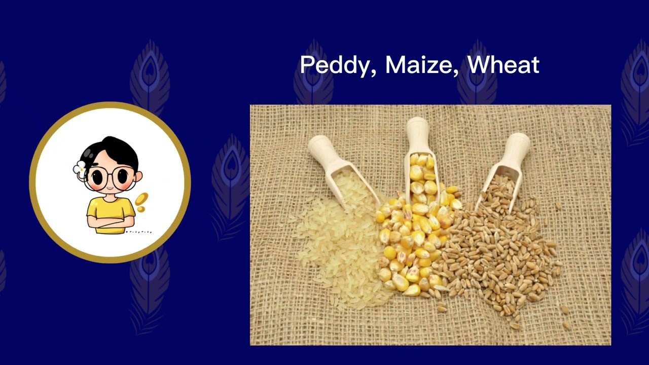 Lesson 14 - Hypogeal Germination