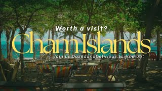 Cham Islands Vietnam: Worth a visit? 🏖️ 🇻🇳 