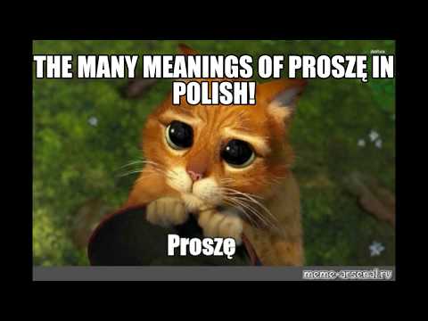 The many meanings of PROSZĘ in Polish! Polish Mastery