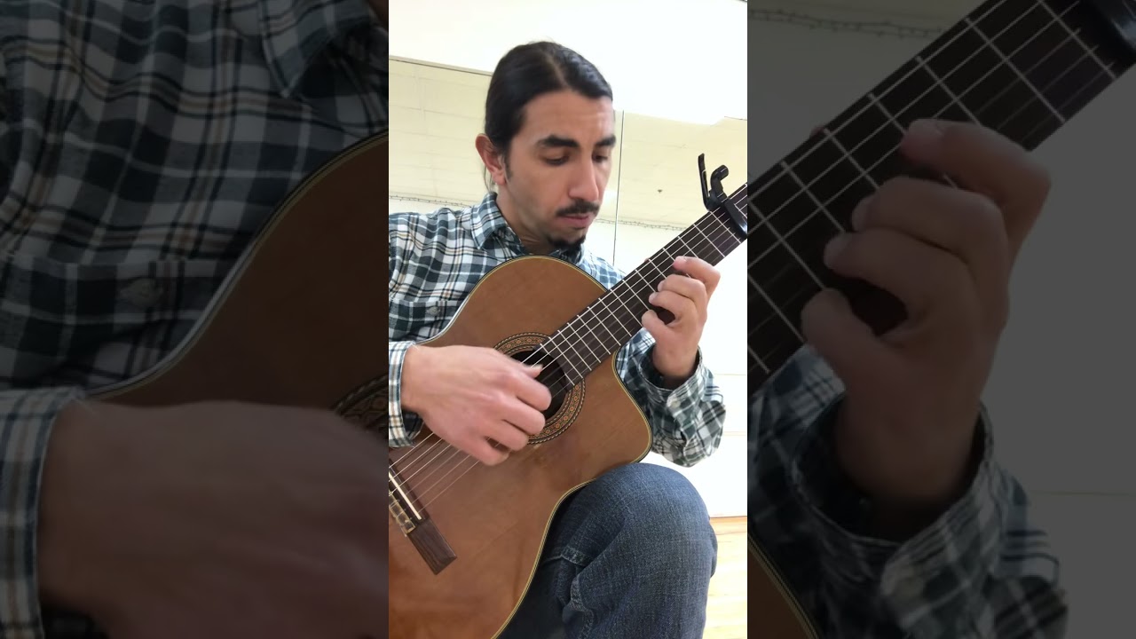 Promotional video thumbnail 5 for John Paul DeCesare Classical Guitar