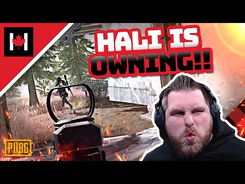 Halifax is ON FIRE with the MK14 + AWM!  - PUBG Solo Gameplay