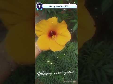 #Friends.flower collection #shorts#trending video