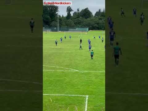 Fc Nord-Kickers - Tsv Borgstedt 2   5:0