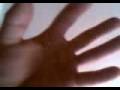 Movie Malibu S Most Wanted DVD RIP11