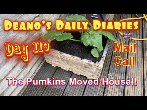 Deano’s diary day 119 - The Pumpkins Move House