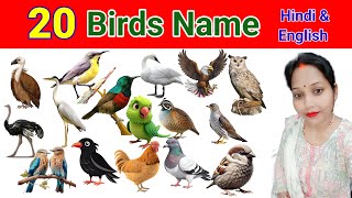 20 Birds Name in Hindi and English | पक्षियों के नाम | Birds Name | Hindi and English Vocabulary |