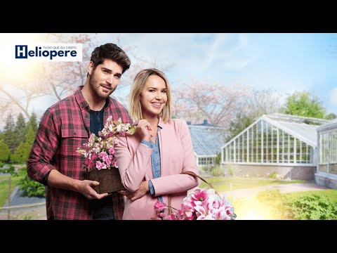 Filme Romance Entre Amores e Cores