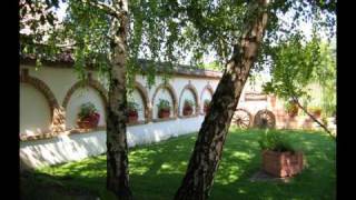 Cseh Tamás - ten years after