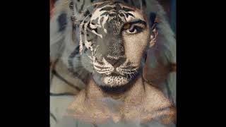 Download lagu khodam macan || story wa manusia macan mp3