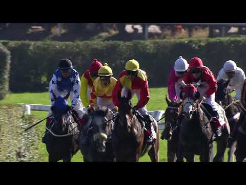 PE, 14. 10. 2018, 3. dostih - CENA SPOLEČNÉ STOLETÍ - Cena ČASCH