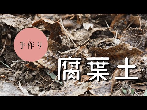 枯れ葉を使った肥料の作り方は？葉を再利用して適切に変形するにはどうすればよいですか?  庭園