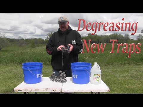 Beginner Trapper Series: How to get oil off new traps
