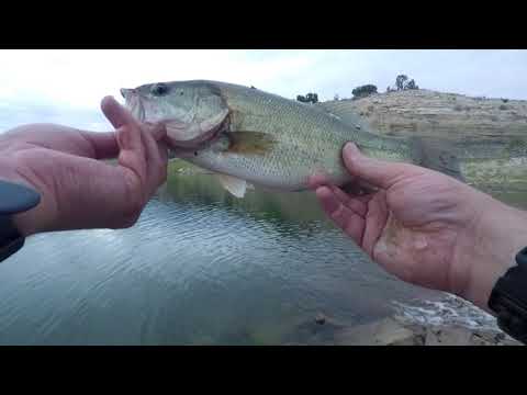 Brush Hollow 8/31/18 Filmed with GoPro. At 4:40 in the video I hook a walleye!