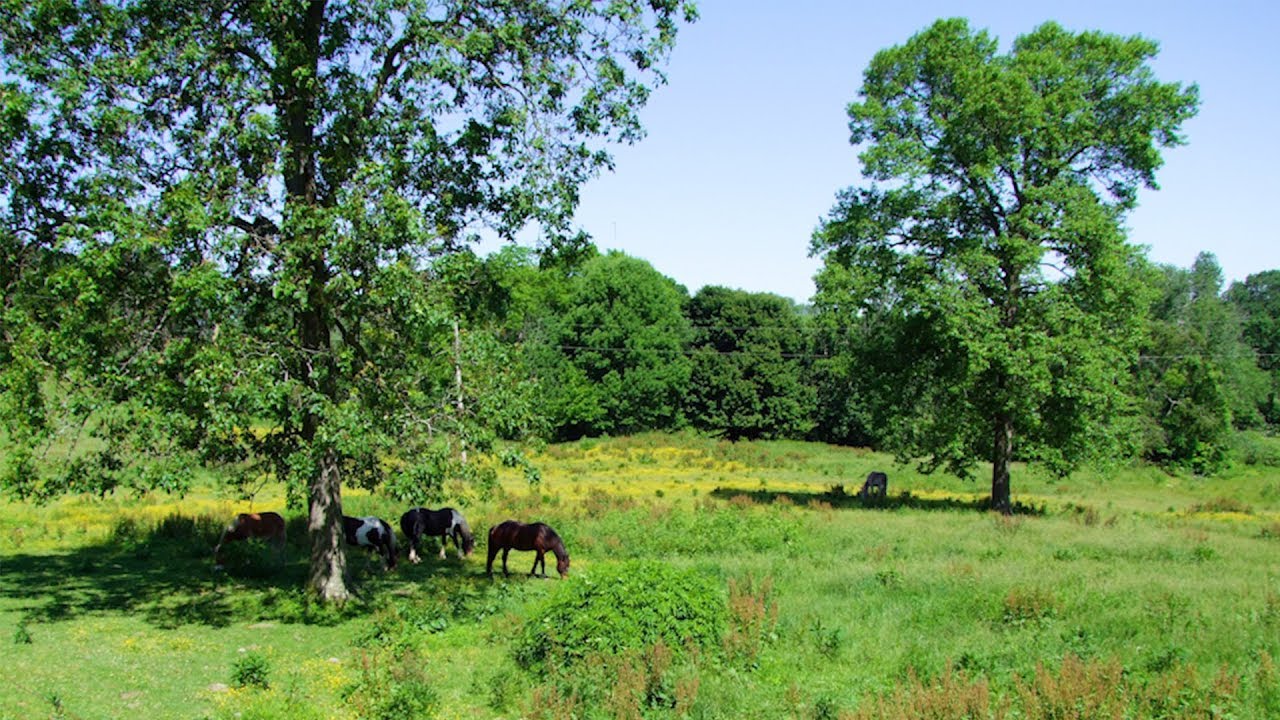Destination Amish Country 06-09-2019