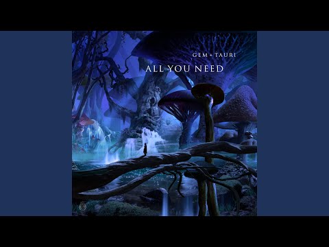 Video thumbnail for All You Need (Extended Mix)