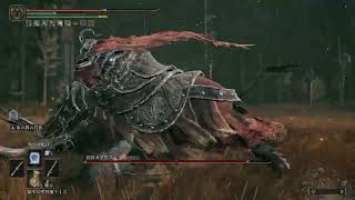 【ELDEN RING】王になったエルデンリング　2周目＆DLC初見の旅【実況】Part7