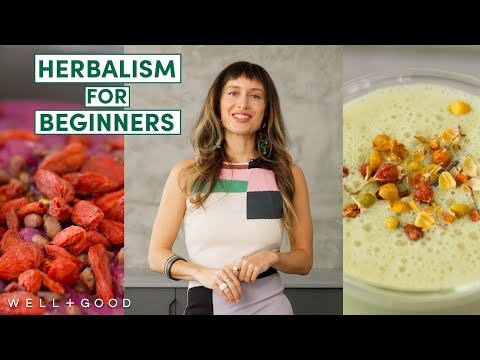 A Beginners Guide to Herbalism | Plant-Based |...
