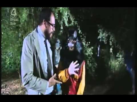 Cha'Mone Mo Fo Bo Selecta - Thriller - Fruit Zombies