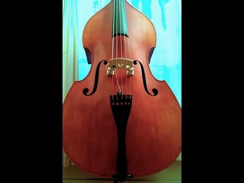 Custom 5 strings DOUBLE BASS, model signature 