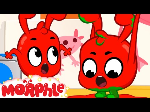 Red Orphle Returns! + More Mila and Morphle Cartoons | Morphle vs Orphle - Kids Videos