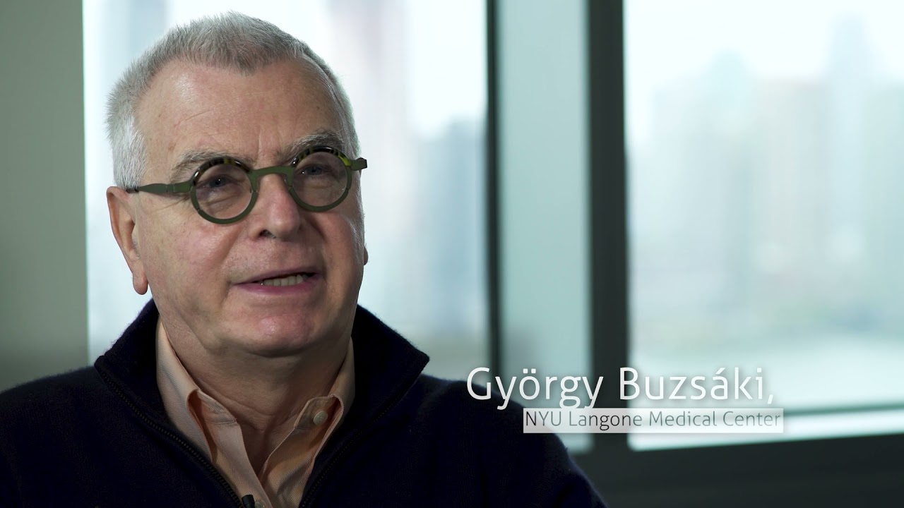 Meet the Life Sciences Honorees of the 2020 Blavatnik Regional Awards