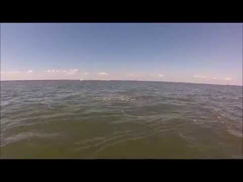 Cruisen The Savannah Water Ways