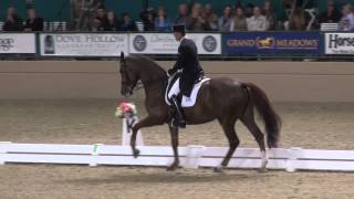 Video de Coral Reef Wylea