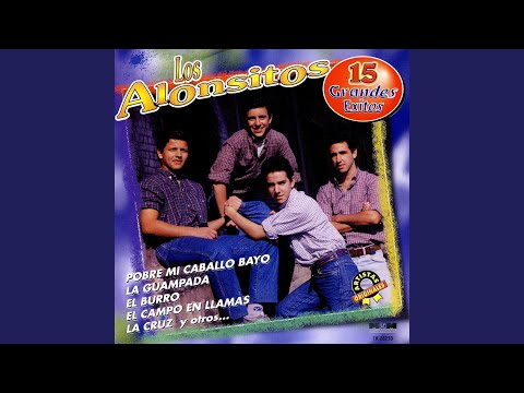 Pobre Mi Caballo Bayo