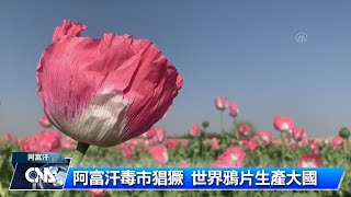 [問卦] 賣毒 vs. 賣國，想也知道選哪個吧？