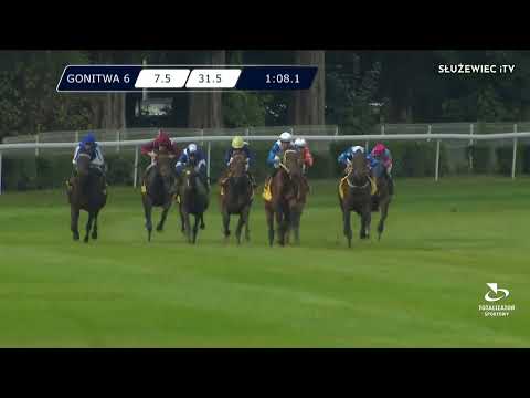 Nagroda Przedświta - (Kat.B) 11.09.2022 (Dzień 31; Gonitwa 6)
