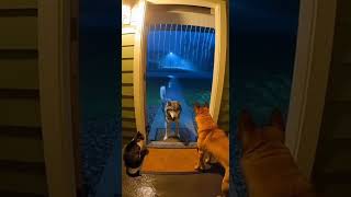 Download lagu 425 full  https://youtu.be/6nPHqYF-fM8 mp3