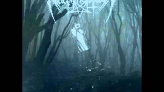 Nachtmystium - The Wound Which Cannot Heal
